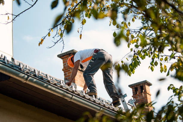 Roof Waterproofing Services in Minier, IL