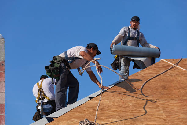 Best Metal Roofing Contractor  in Minier, IL