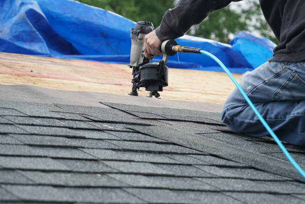 Best Roof Gutter Cleaning  in Minier, IL